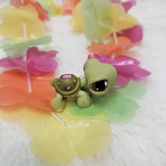 My Littlest Pet Shop Turtle loose figure LPS - Picture 2 of 6